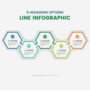 Line infographic template with 5 hexagons options vector image