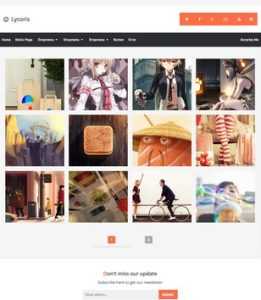 Lycoris Responsive Photography