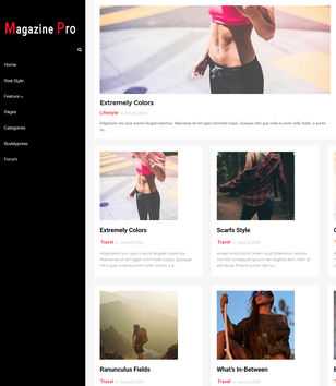 Magazine Pro