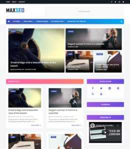 MaxSeo