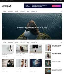 MeshMag Magazine