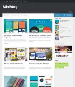 Mini Mag Mega Menu