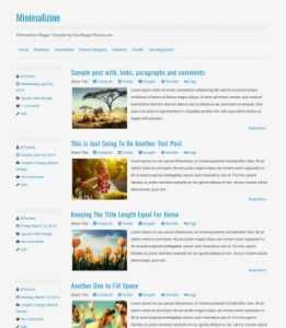 Minimalizine Responsive