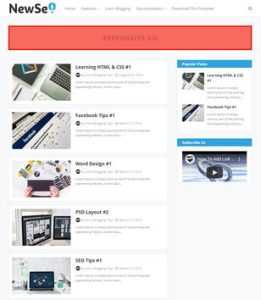 New SEO