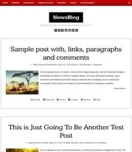 NewsBlog