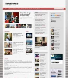 Newspaper