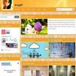 OrangeBT Gallery