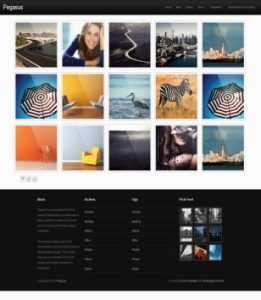 Pegasus Gallery