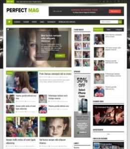 Perfect Mag News
