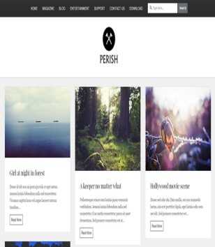 Perish Photography