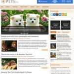 PetsWp Animals