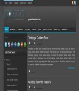 Policom
