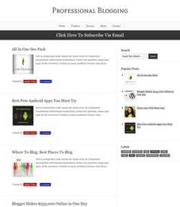 Professional Blogging