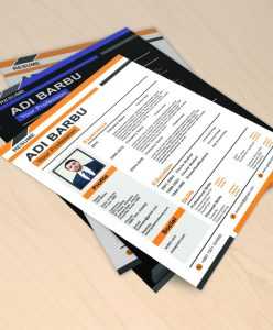 Professional Resume CV