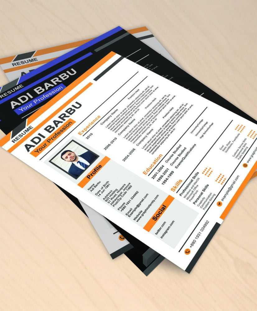 Professional Resume CV