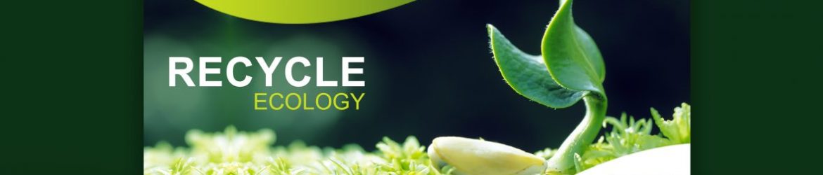 Professional Website Banner Professional Website Banner