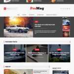 ProMag