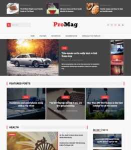 ProMag