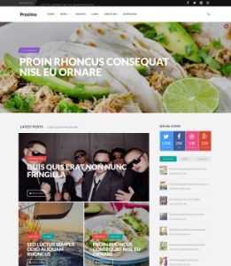 Proxima magazine Responsive