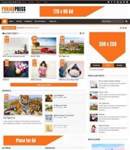 Punjab Press Responsive v2