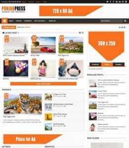 Punjab Press Responsive v3