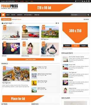 Punjab Press Responsive v3