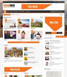 Punjab Press v4 Responsive