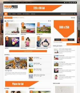 Punjab Press v4 Responsive