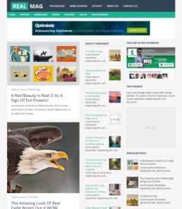RealMag Responsive
