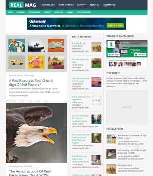 RealMag Responsive