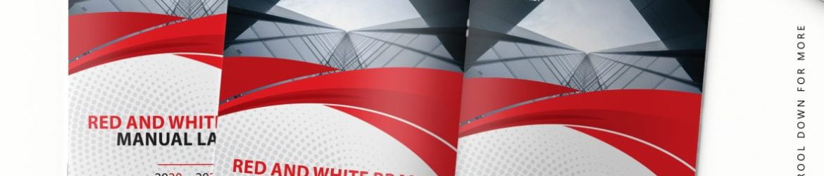 Red and White Brand Manual Layout