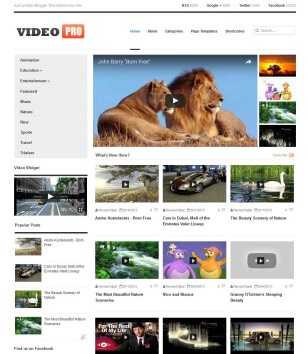 Responsive VideoPro