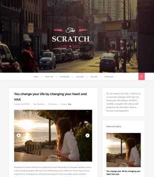 Scratch Pink Responsive