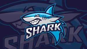 Shark Logo Design