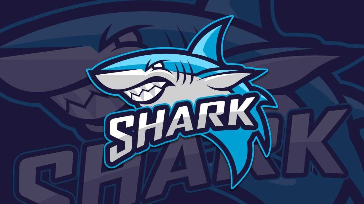Shark Logo Design
