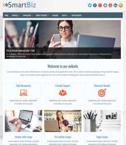 SmartBiz