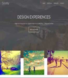 Snortly Portfolio