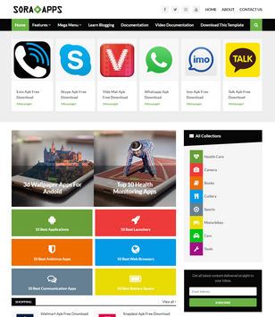 Sora App