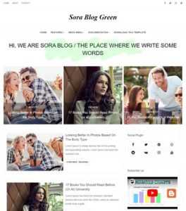 Sora Blog Green