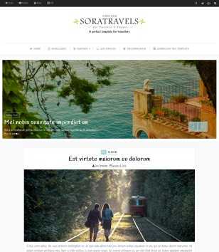 Sora Travels