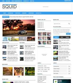 Squid