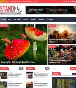 Stand Mag