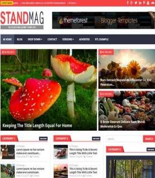 Stand Mag