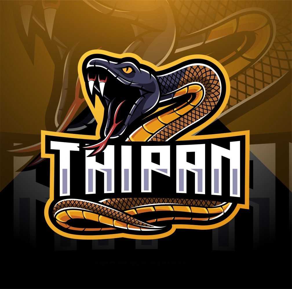 Taipan Mascot Logo
