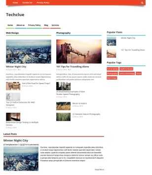 Techclue Responsive Seo