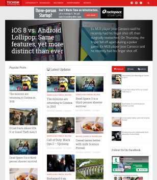 Techism Responsive