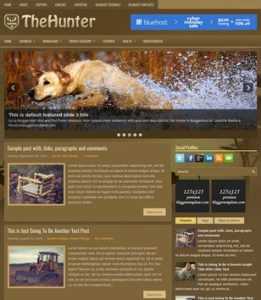 TheHunter 2 Columns