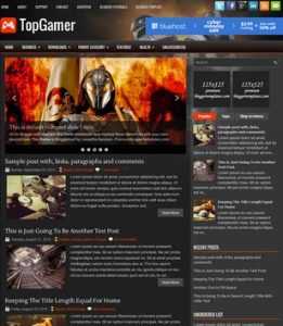 TopGamer Dark