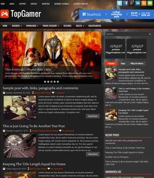 TopGamer Dark