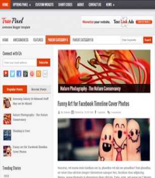 True Pixel Blogger Theme9